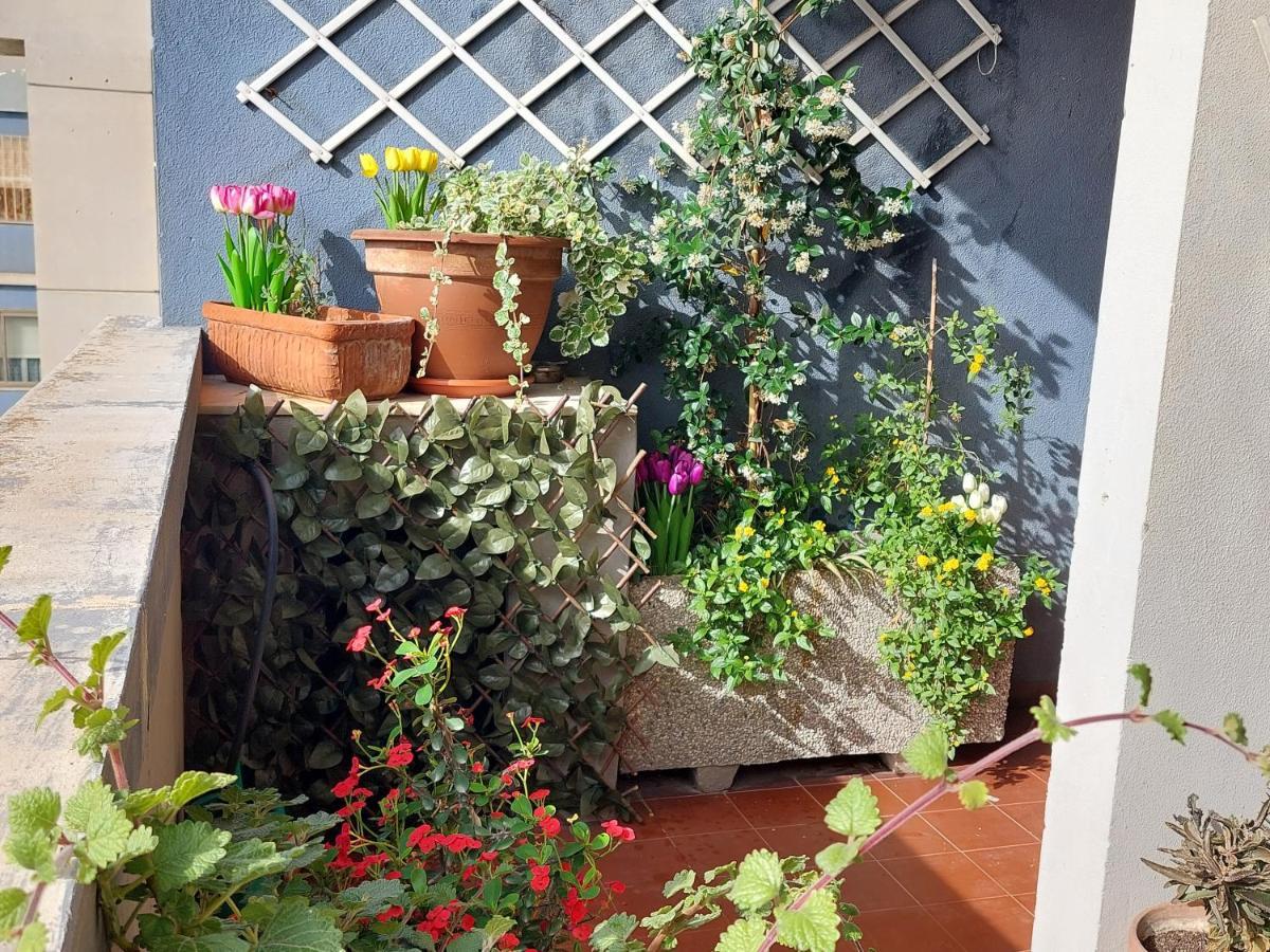 Bellavista Apartment Cagliari Bagian luar foto