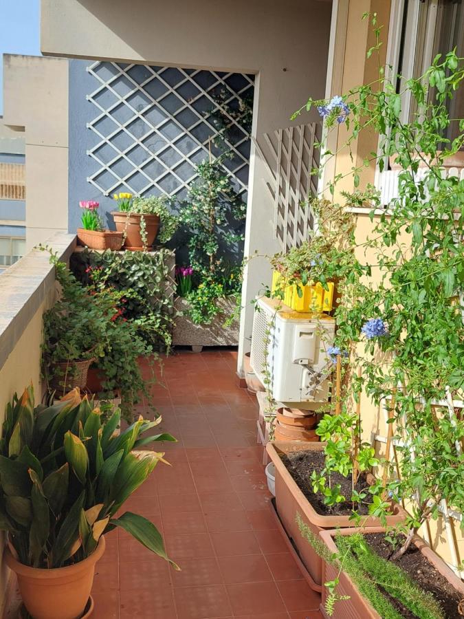 Bellavista Apartment Cagliari Bagian luar foto